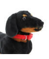 Nylon Dog Collar by Zack & Zoey - Tomato Red
